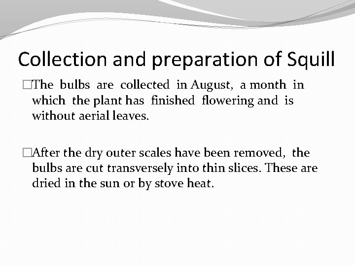Collection and preparation of Squill �The bulbs are collected in August, a month in