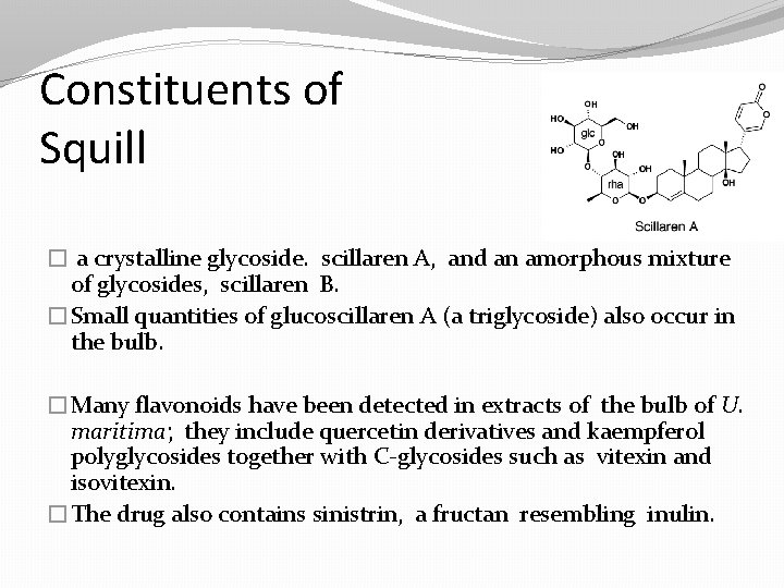 Constituents of Squill � a crystalline glycoside. scillaren A, and an amorphous mixture of