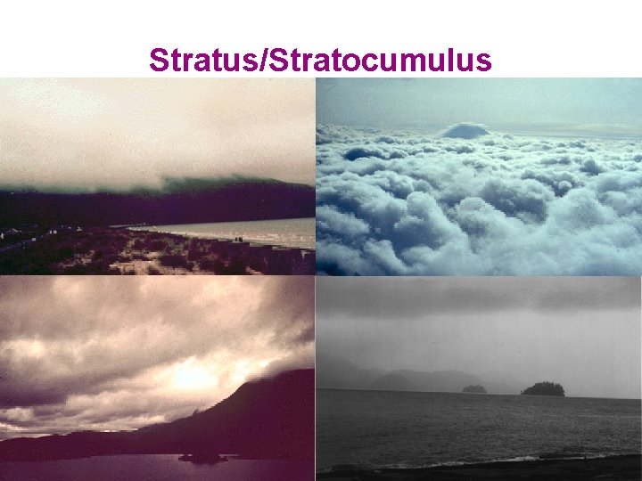 Stratus/Stratocumulus ENVI 3410 : Coupled Ocean & Atmosphere Climate Dynamics 1 