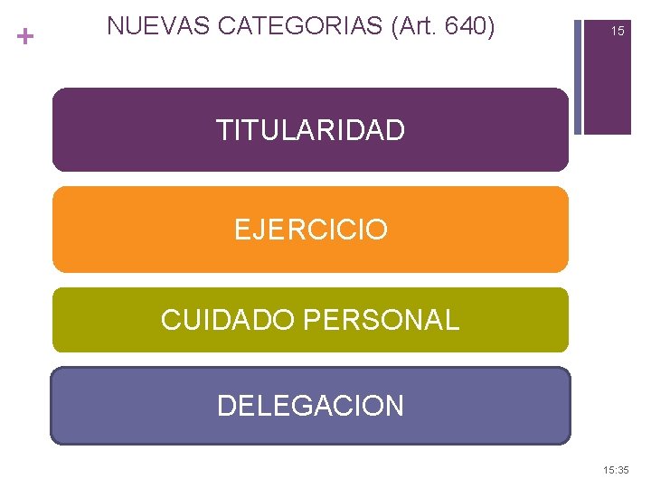 + NUEVAS CATEGORIAS (Art. 640) 15 TITULARIDAD EJERCICIO CUIDADO PERSONAL DELEGACION 15: 35 