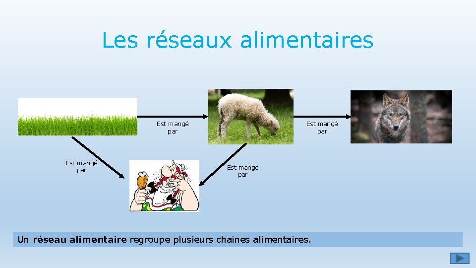 Les réseaux alimentaires Est mangé par Un réseau alimentaire regroupe plusieurs chaines alimentaires. 