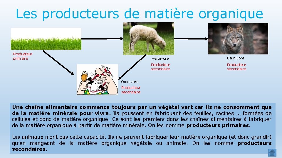 Les producteurs de matière organique Producteur primaire Herbivore Carnivore Producteur secondaire Omnivore Producteur secondaire