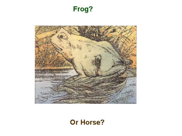 Frog? Or Horse? 