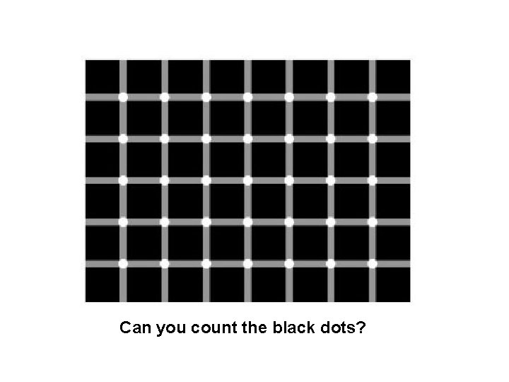  Can you count the black dots? 