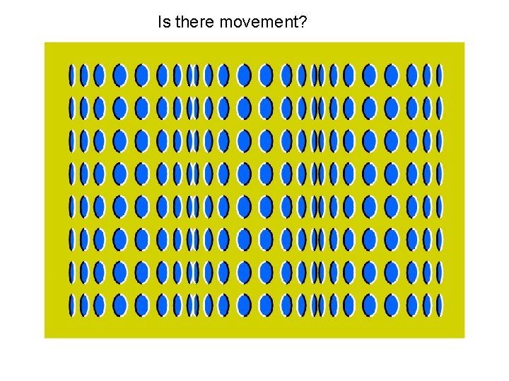 Is there movement? 