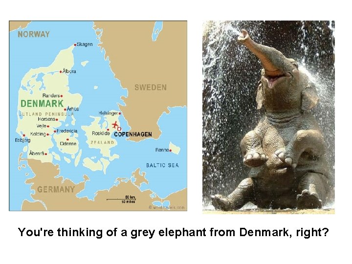 You're thinking of a grey elephant from Denmark, right? 