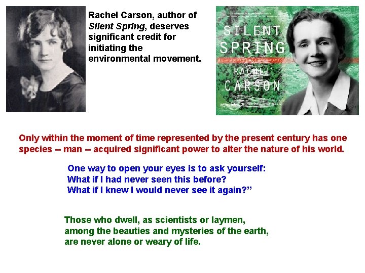 Rachel Carson, author of Silent Spring, deserves significant credit for initiating the environmental movement.