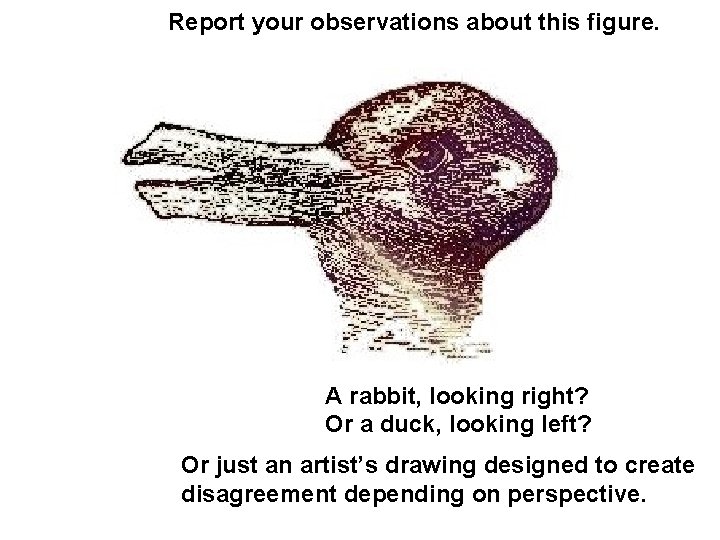 Report your observations about this figure. A rabbit, looking right? Or a duck, looking