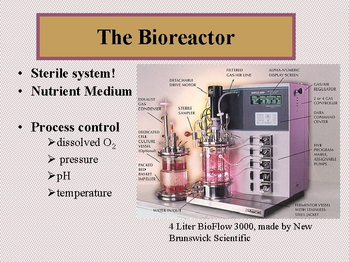 The Bioreactor • Sterile system! • Nutrient Medium • Process control Ødissolved O 2