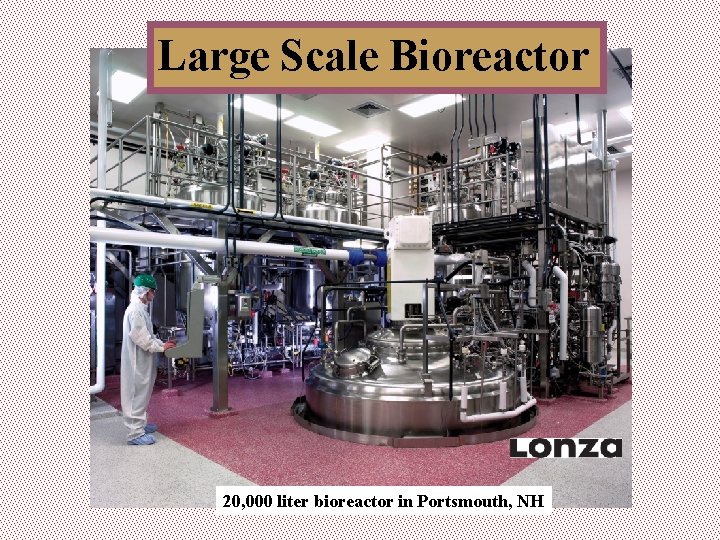 Large Scale Bioreactor 20, 000 liter bioreactor in Portsmouth, NH 