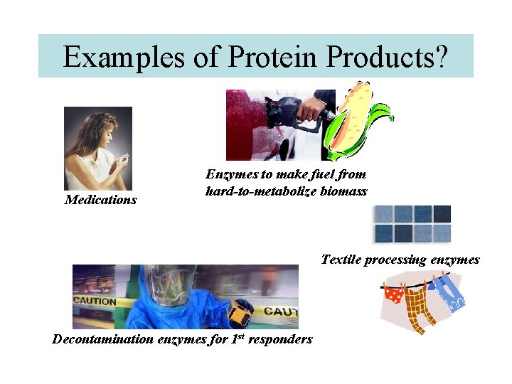 Examples of Protein Products? Medications Enzymes to make fuel from hard-to-metabolize biomass Textile processing