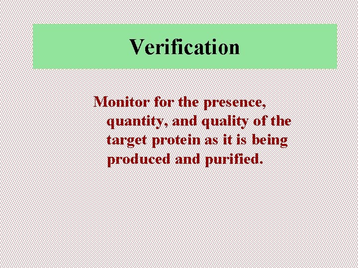 Verification Monitor for the presence, quantity, and quality of the target protein as it
