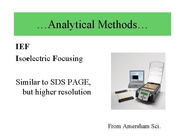 …Analytical Methods… IEF Isoelectric Focusing Similar to SDS PAGE, but higher resolution From Amersham