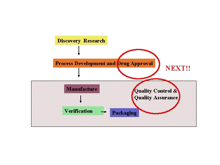 Discovery Research Process Development and Drug Approval Manufacture Verification NEXT!! Quality Control & Quality