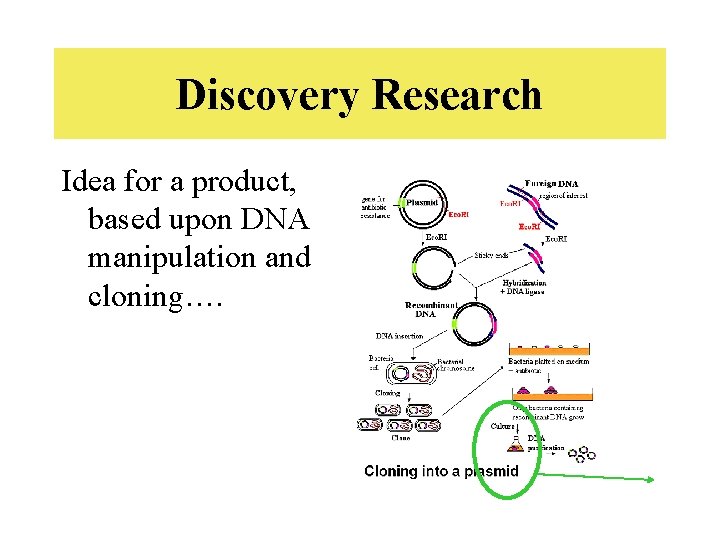 Discovery Research Idea for a product, based upon DNA manipulation and cloning…. 