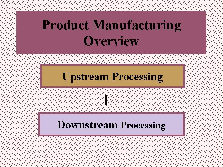 Product Manufacturing Overview Upstream Processing Downstream Processing 