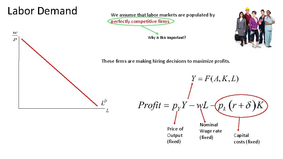 Labor Demand We assume that labor markets are populated by perfectly competitive firms Why