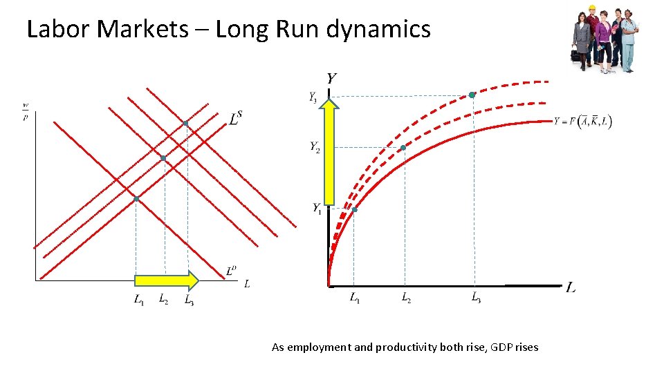 Labor Markets – Long Run dynamics As employment and productivity both rise, GDP rises
