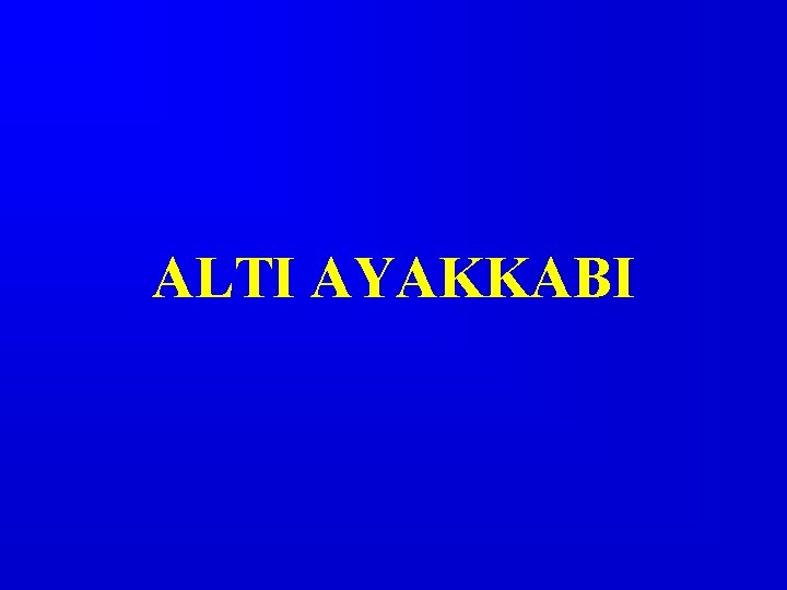 ALTI AYAKKABI 