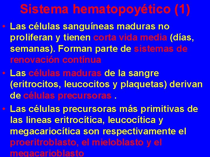 Sistema hematopoyético (1) • Las células sanguíneas maduras no proliferan y tienen corta vida