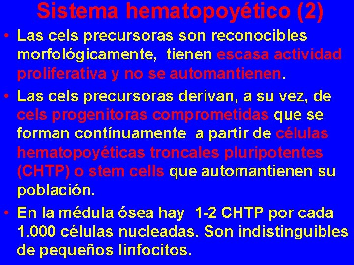 Sistema hematopoyético (2) • Las cels precursoras son reconocibles morfológicamente, tienen escasa actividad proliferativa