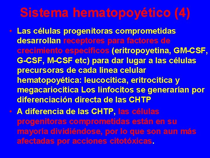 Sistema hematopoyético (4) • Las células progenitoras comprometidas desarrollan receptores para factores de crecimiento