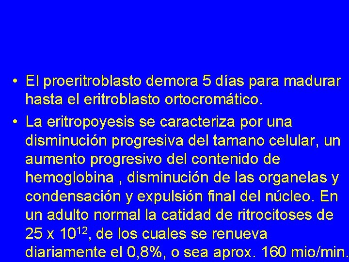  • El proeritroblasto demora 5 días para madurar hasta el eritroblasto ortocromático. •