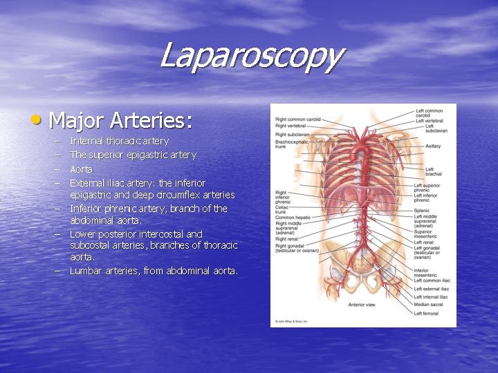 Laparoscopy • Major Arteries: – – Internal thoracic artery The superior epigastric artery Aorta