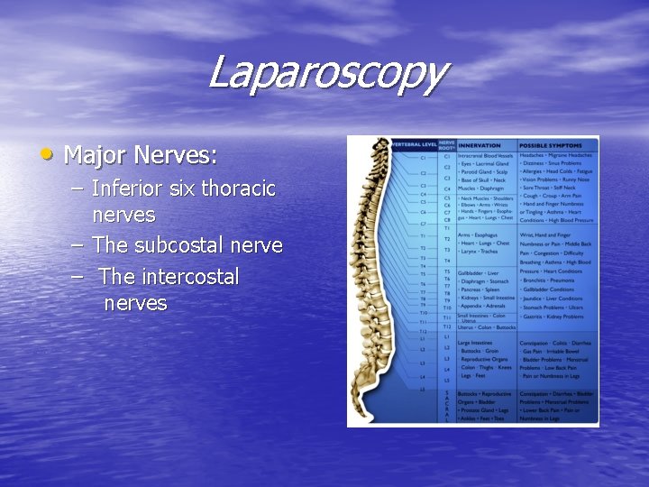 Laparoscopy • Major Nerves: – Inferior six thoracic nerves – The subcostal nerve –