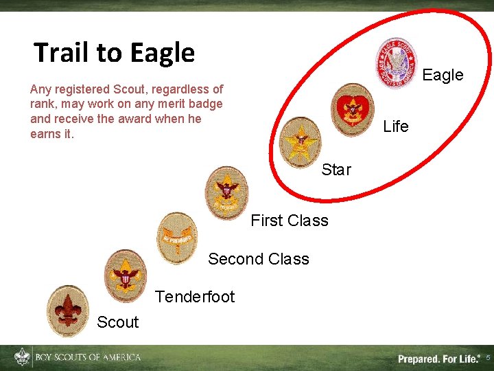 Trail to Eagle Any registered Scout, regardless of rank, may work on any merit