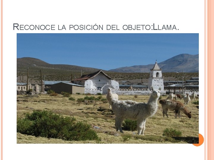 RECONOCE LA POSICIÓN DEL OBJETO: LLAMA. 