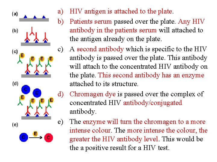 a) HIV antigen is attached to the plate. b) Patients serum passed over the