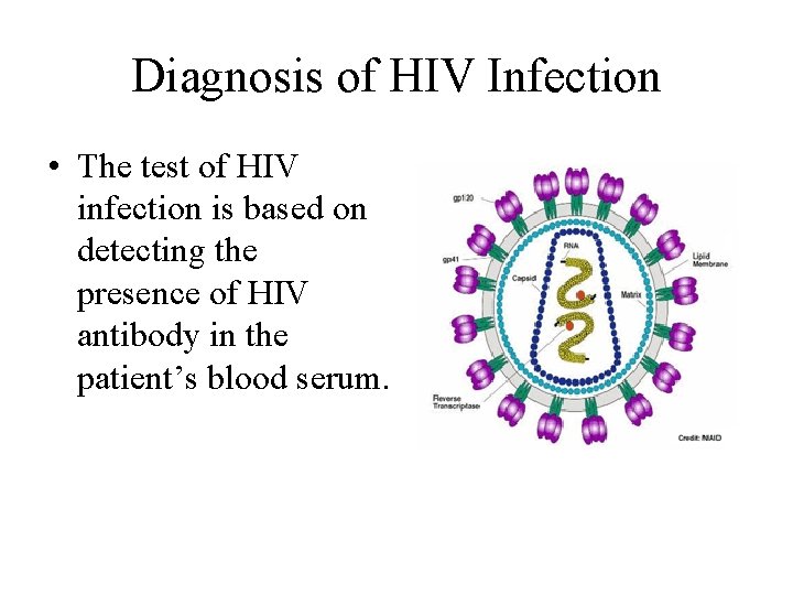 Diagnosis of HIV Infection • The test of HIV infection is based on detecting