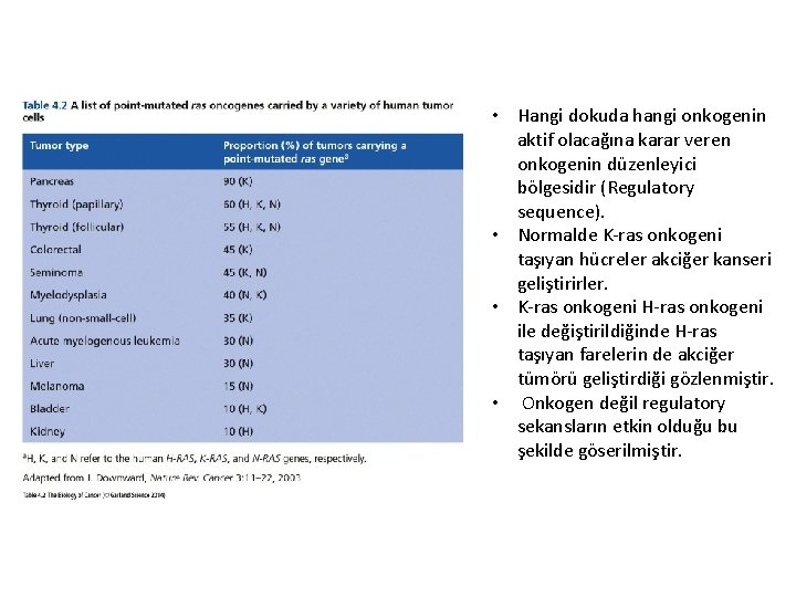  • Hangi dokuda hangi onkogenin aktif olacağına karar veren onkogenin düzenleyici bölgesidir (Regulatory