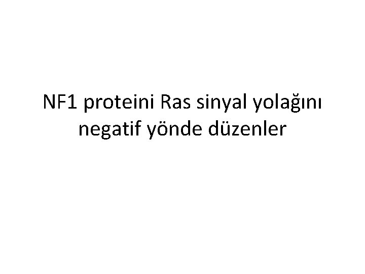 NF 1 proteini Ras sinyal yolağını negatif yönde düzenler 