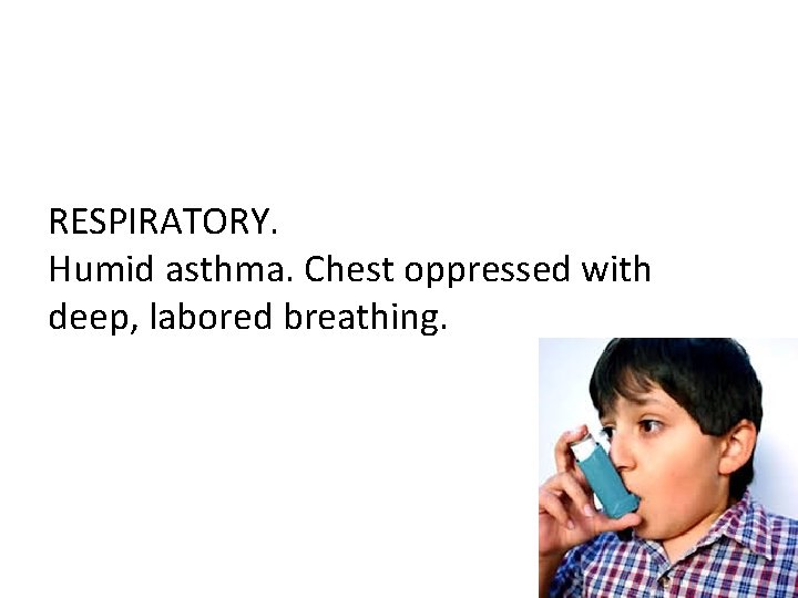 RESPIRATORY. Humid asthma. Chest oppressed with deep, labored breathing. 