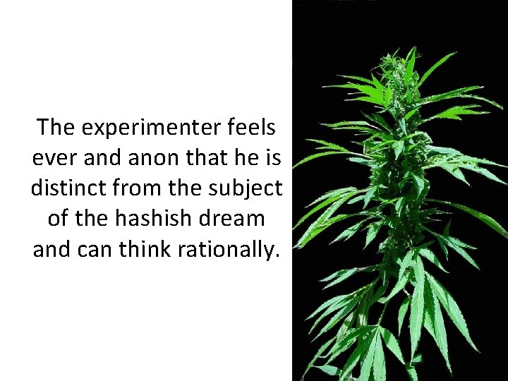 The experimenter feels ever and anon that he is distinct from the subject of