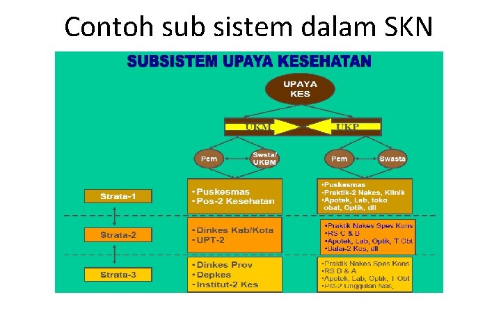 Contoh sub sistem dalam SKN 