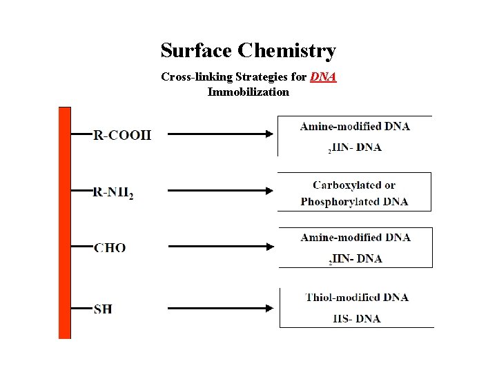 Surface Chemistry Cross-linking Strategies for DNA Immobilization 