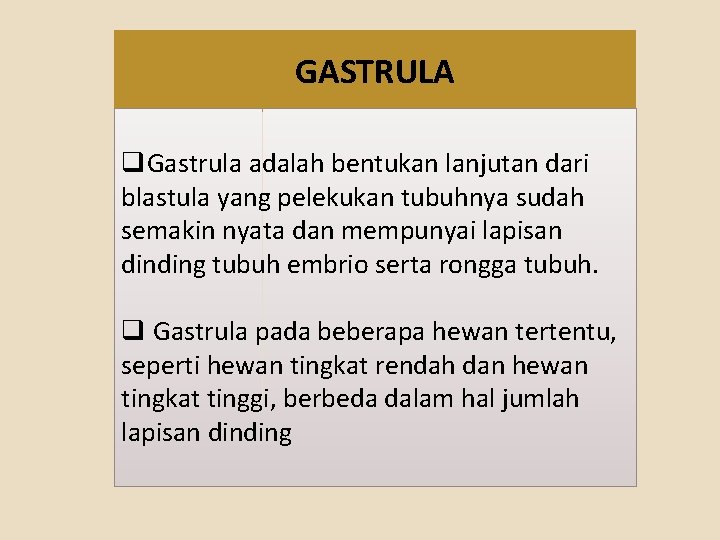 GASTRULA q. Gastrula adalah bentukan lanjutan dari blastula yang pelekukan tubuhnya sudah semakin nyata