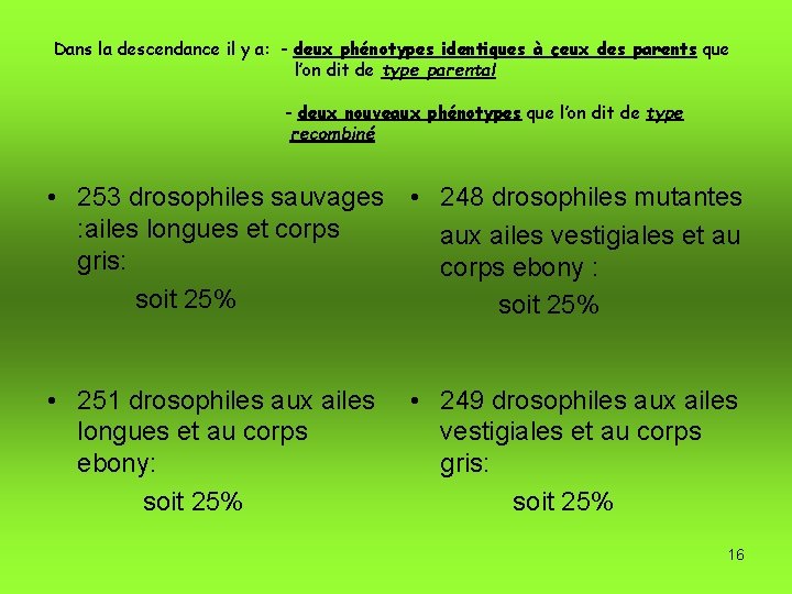 Dans la descendance il y a: - deux phénotypes identiques à ceux des parents