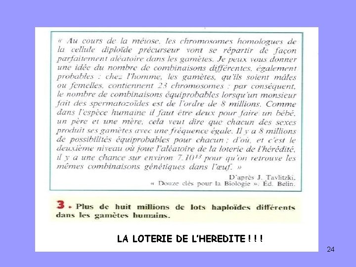 LA LOTERIE DE L’HEREDITE ! ! ! 24 