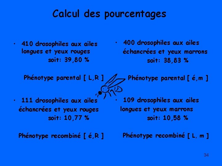 Calcul des pourcentages • 410 drosophiles aux ailes longues et yeux rouges soit: 39,