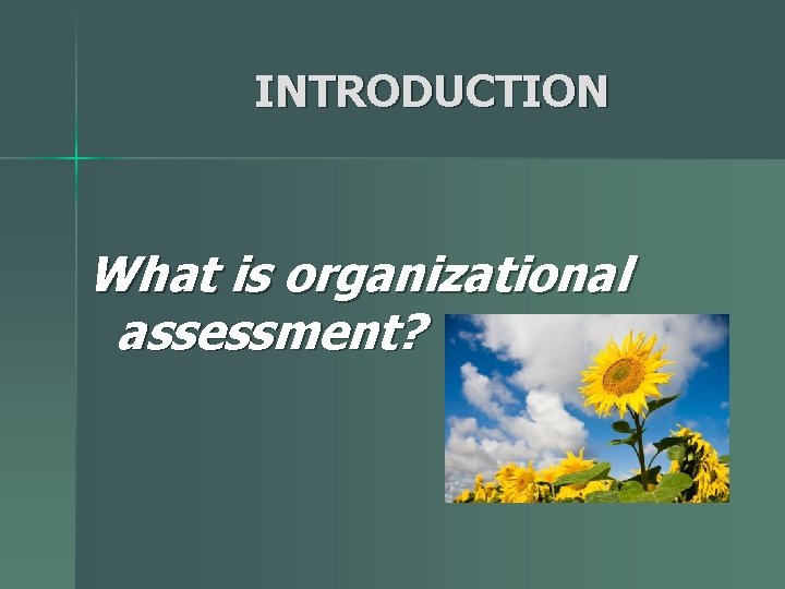 INTRODUCTION What is organizational assessment? 