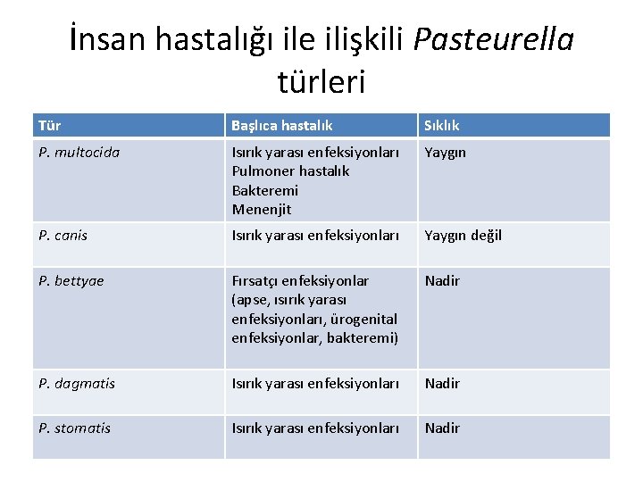 İnsan hastalığı ile ilişkili Pasteurella türleri Tür Başlıca hastalık Sıklık P. multocida Isırık yarası