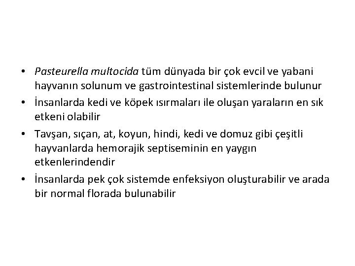  • Pasteurella multocida tüm dünyada bir çok evcil ve yabani hayvanın solunum ve