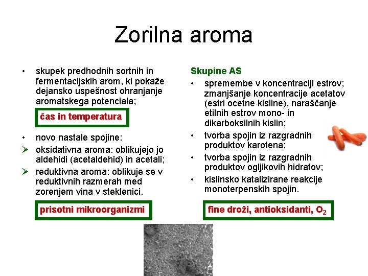 Zorilna aroma • skupek predhodnih sortnih in fermentacijskih arom, ki pokaže dejansko uspešnost ohranjanje