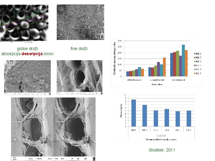 grobe droži absorpcija-desorpcija ionov fine droži Skoliber, 2011 