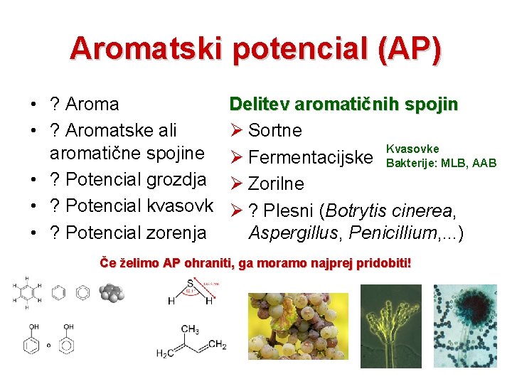 Aromatski potencial (AP) • ? Aromatske ali aromatične spojine • ? Potencial grozdja •