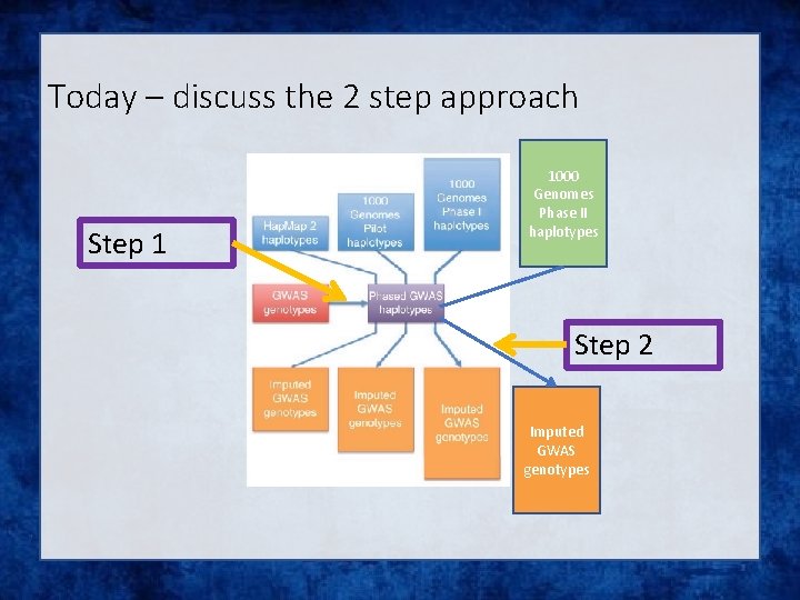 Today – discuss the 2 step approach Step 1 1000 Genomes Phase II haplotypes